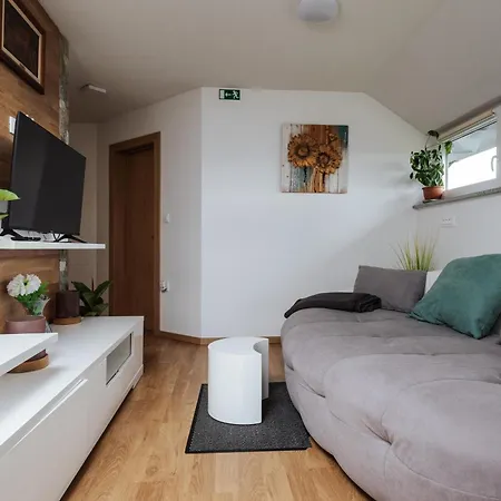 Tanja S In Nature With Sauna And Hot Tub * Gorica pri Slivnici